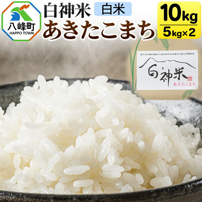 【ふるさと納税】白神米 あきたこまち 秋田県産 10kg【白米】令和7年産