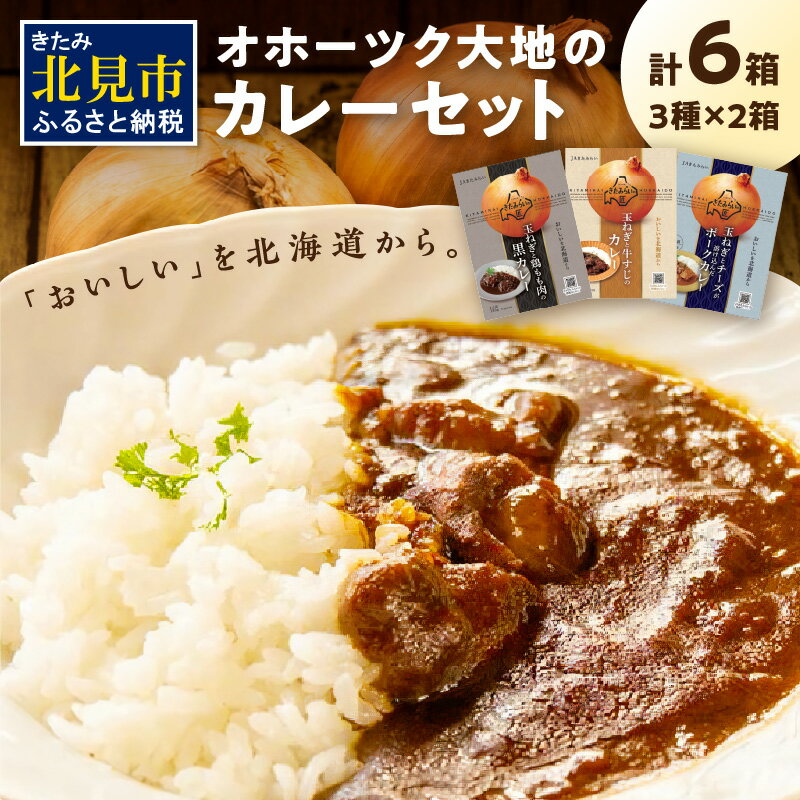 【ふるさと納税】オホーツク生まれの絶品カレー！オホーツク大地のカレーセット ( レトルト 加工品 カレー セット 詰め合わせ )