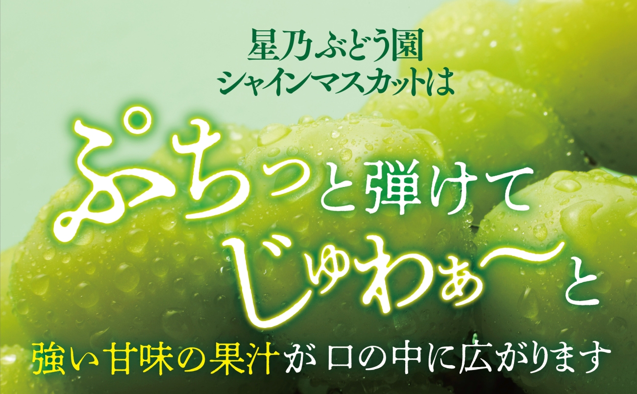 【先行受付】星乃シャインマスカット 数量限定 (岡山県産) 2房(1.3kg以上)【配送不可地域：離島・北海道・沖縄県】