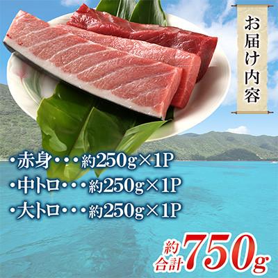 ふるさと納税 瀬戸内町 奄美大島産養殖クロマグロ(3柵セット) |  | 01