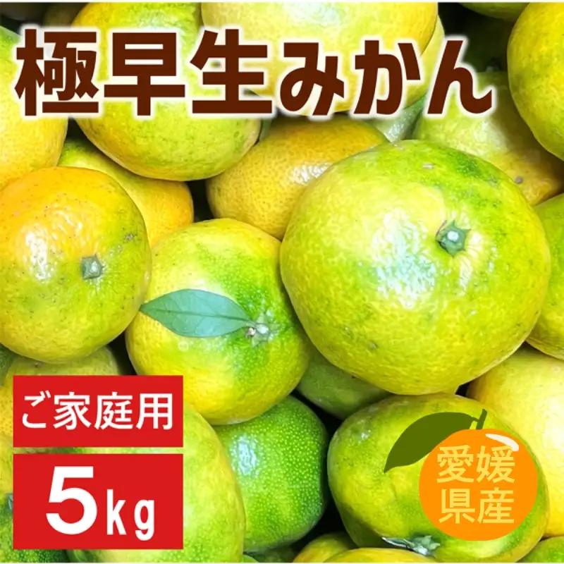 【9月下旬より順次発送】極早生みかん 5kg ご家庭用｜B226