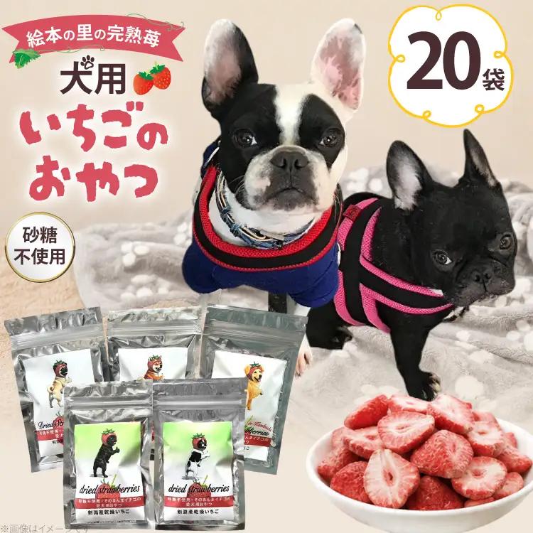 ペットフード 犬用のいちごのおやつ ドライ苺 15g 20袋 (19袋コンプリート＋シークレット1袋)