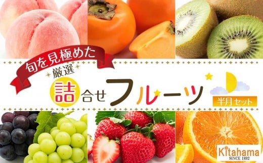 
            旬を見極めた厳選フルーツ詰め合わせ【半月セット】（3～5品種）1回便
          