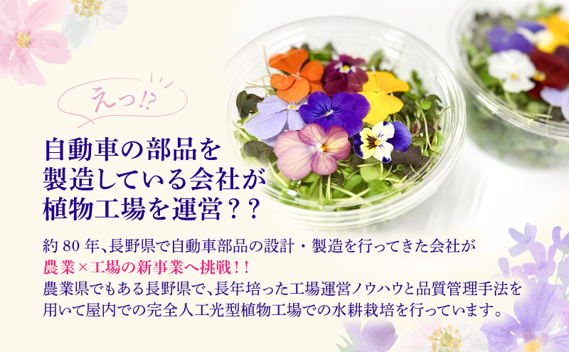 栽培期間中無農薬で安心！屋内水耕栽培で育てたリーフ＆エディブルフラワーサラダ×2カップ 信州野菜のマイクロリーフ入り！ 食用花 お花 野菜 料理 サラダ