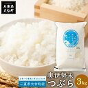 【ふるさと納税】奥伊勢米　つぶら　3kg／宮川TK　食味値75％以上　みえの安心食材　認定米　ブランド米　三重県　大台町