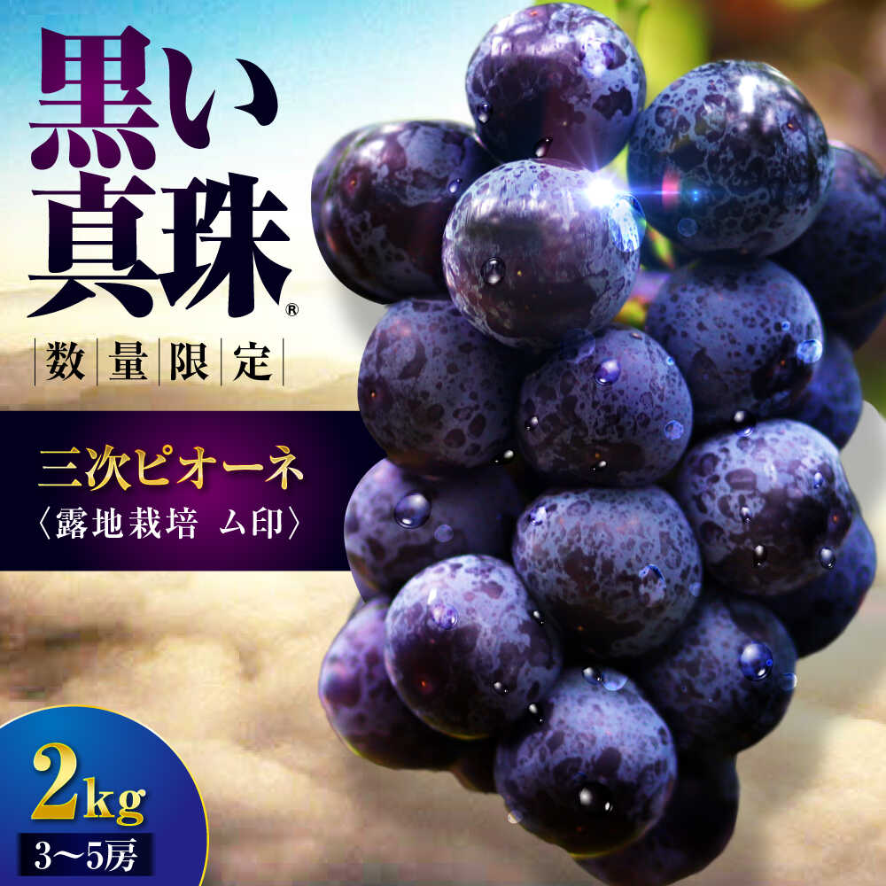 【ふるさと納税】【先行予約】【8月下旬以降順次発送】 三次ピオーネ 露地栽培ム印 2kg （3〜5房） 70セット限定 ぶどう ピオーネ 葡萄 ブドウ フルーツ 果物 三次市 / 三次ピオーネ生産組合[APBD003]