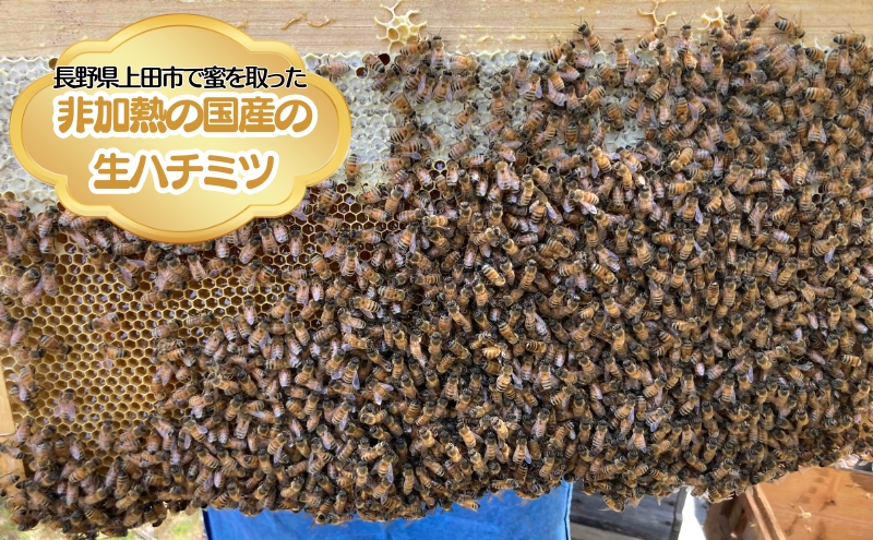 国産生はちみつ　アカシア・クリ　600g 2本セット　蜂蜜 食べ比べ 上田市 長野県