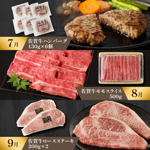 【特撰】佐賀牛 定期便（12回）／ 牛肉 定期便 【Z007】