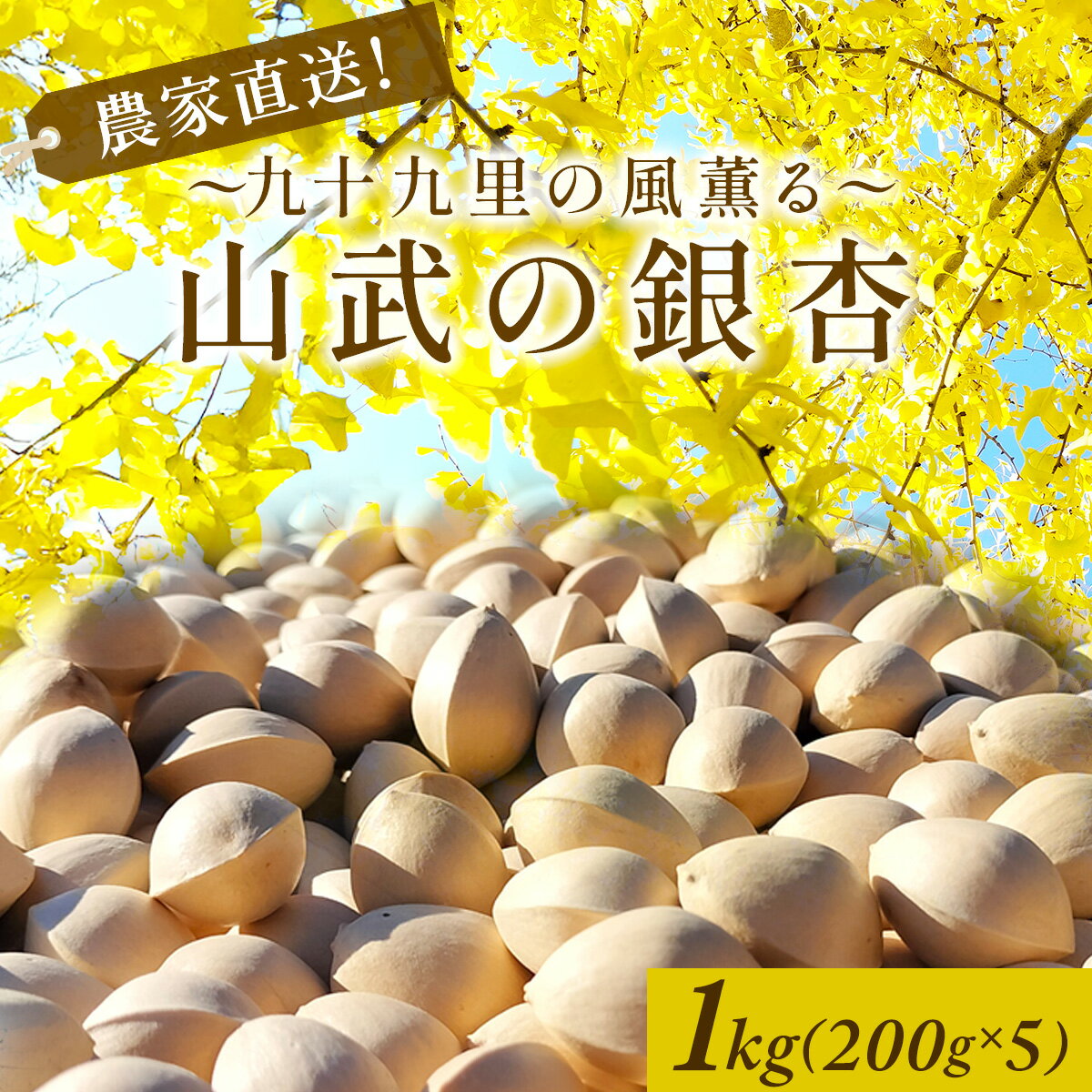 【ふるさと納税】【2025年10月より順次発送】農家直送! 九十九里の風薫る山武の銀杏【 ふるさと納税 銀杏 ぎんなん 農家直送 九十九里 千葉県 千葉県山武市 送料無料 】SMBU006