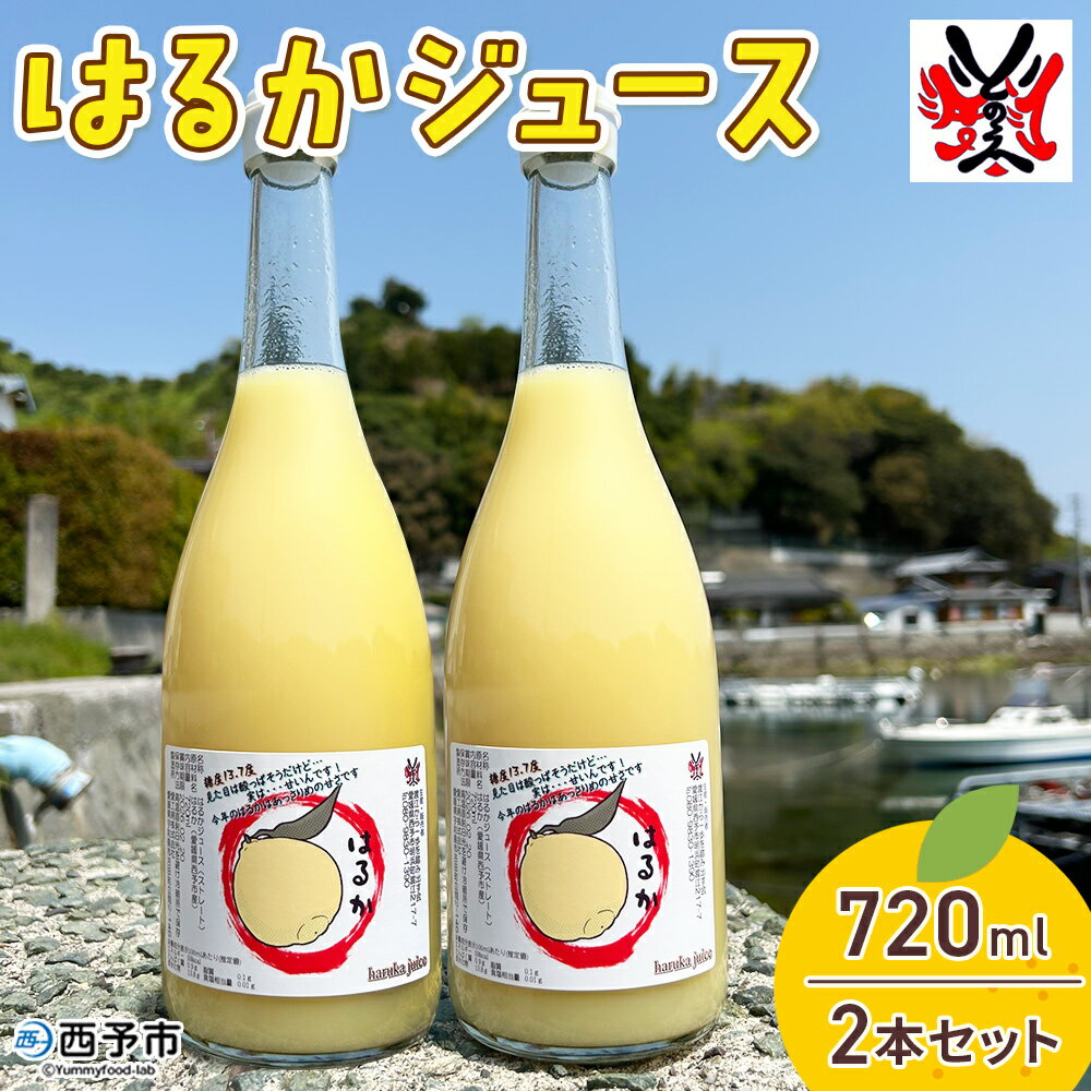 【ふるさと納税】＜はるかジュース 720ml×2本セット＞ 愛媛 果汁 100% はるか ジュース ストレート みかん じゅーす 100%ジュース セット 柑橘 果物 フルーツ オレンジ 特産品 飲んで応援 渡江から一歩を踏み出す会 愛媛県 西予市【常温】『令和8年5月より順次出荷予定』