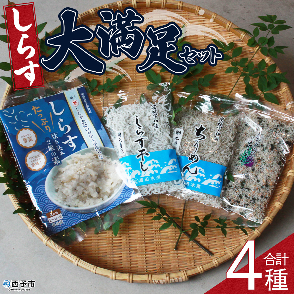 ＜しらす大満足セット 合計4種＞炊き込み 西予市産 ちりめん しらす干し 食べ比べ 健康 詰め合わせ チリメン シラス 魚介 海産物 海鮮 家庭用 贈答用 小分け 国産 特産品 産地直送 濵田水産 愛媛県 西予市