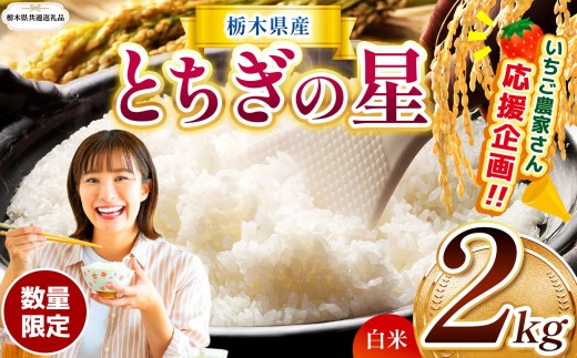 【栃木県共通返礼品】【先行予約】【定期2回】  訳あり 定期便 数量 限定 令和8年度産 とちぎの星 約 2kg | とちぎの星 ミルキークイーン okome kome お米 米 玄米 白米 ごはん おいしい  ふるさと納税 那珂川町 栃木県