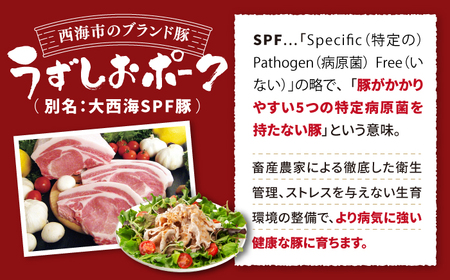 【訳あり】【6回定期便】長崎うずしおポーク 大人気3種 セット 国産豚 ＜スーパーウエスト＞[CAG220]