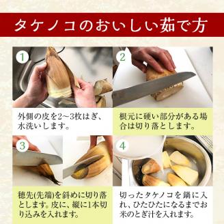 i230 ≪数量限定！先行予約受付中！2026年3月下旬～4月中旬の間に発送≫鹿児島県出水市産！たけのこ＜皮付き2kg＞ たけのこ 筍 タケノコ 国産 皮付き 野菜 旬 新鮮 採りたて 煮物 味噌汁 