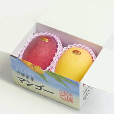 【2026年発送・家庭用】頑固おやじのこだわりマンゴー 食べ比べ1kg 糖度20度超えの金蜜マンゴー【配送不可地域：離島】