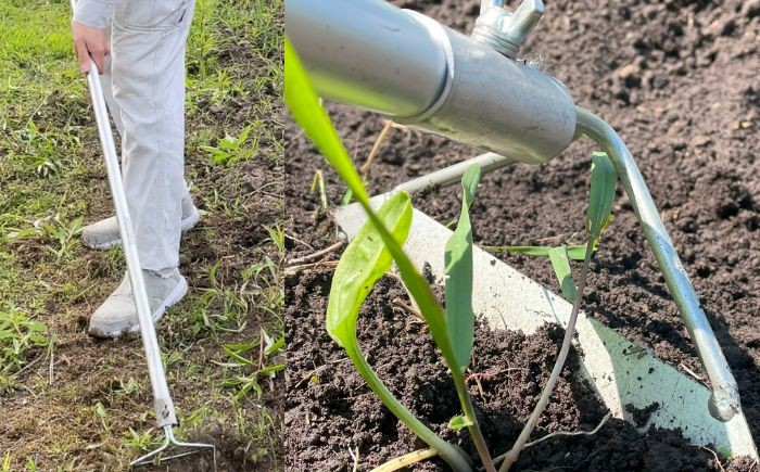 
                  手取り除草機　ホーF21　《足寄町》【株式会社キュウホー】除草具 農具 草取り 草刈り 農業 農作業 のうさぎょう ガーデニング 庭 園芸 掃除 花 草 雑草 27000 27000円  [BEBH002]
                