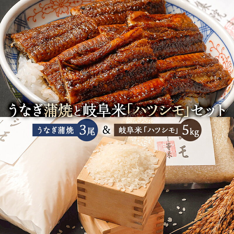 【ふるさと納税】「炭かおる地焼き うなぎ蒲焼（たれ付）3尾」と「岐阜米ハツシモ1等米5kg」 岐阜県 可児市 うなぎ 魚介 加工 炭火 地焼 蒲焼 米 ハツシモ ご飯 お米 お取り寄せ グルメ 送料無料