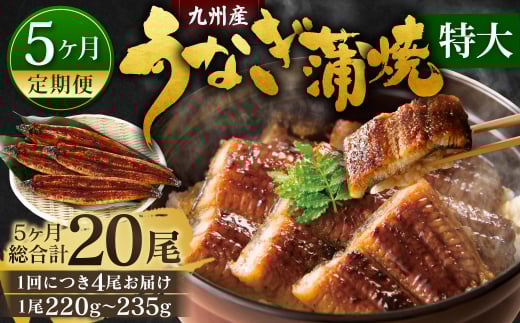 【5ヶ月定期便】九州産 うなぎ蒲焼 特大4尾 (1尾あたり220～235g) 合計20尾 たれ 山椒 鰻 ウナギ 蒲焼き 国産 冷凍 鹿児島、宮崎、熊本等産うなぎ原料使用
