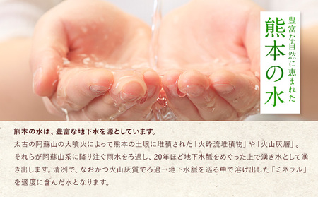 【6ヶ月定期便】 無洗米 ひのくに米 5kg 《お申込み月の翌月から出荷開始》 食品 米 こめ コメ 熊本県産 ふるさと納税 お米 おこめ 熊本