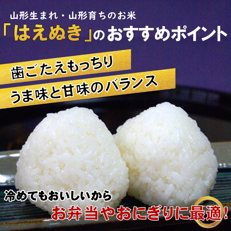 マイスターがつくる　はえぬき　白米　5kg【新米予約】