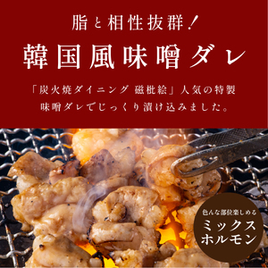 〈スピード出荷〉黒毛和牛ホルモン （韓国味噌ダレ 小分け 500g）ホルモン MSK019
