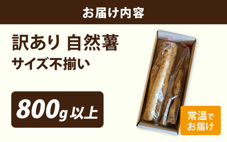 【期間限定】【数量限定】【訳あり】自然薯カット　サイズ不揃い　800g以上