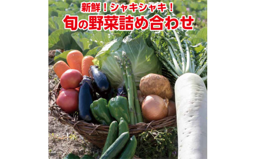 
116002　旬の野菜セット
