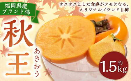 福岡県産ブランド柿・秋王 約1.5kg （4-6玉） 柿 カキ かき 果物 くだもの フルーツ 冷蔵 国産 岡垣町 【2024年10月下旬～11月下旬発送予定】