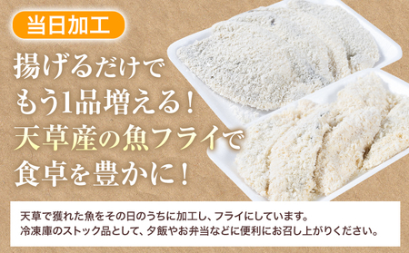 天草産 お魚屋さんの地魚フライセット（5～6切れ入り）6パック《30日以内に出荷予定(土日祝除く)》冷凍食品 魚 フライ 地魚フライ お弁当 海産物 天草 苓北 熊本 送料無料