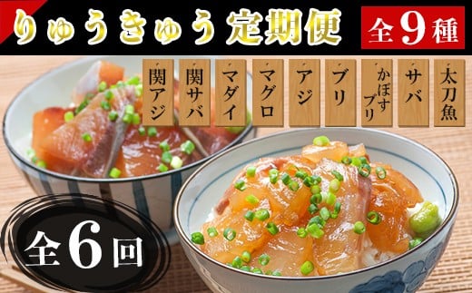 
            ＜6か月定期便＞りゅうきゅう9種定期便(関あじ・関さば・真鯛・本マグロ・豊後あじ・ぶり・かぼすぶり・豊後さば・太刀魚)[3種×各2食×6回] 海鮮丼 定期便 6回 6ヶ月 漬け丼 大分郷土料理 豊後絆屋 魚 冷凍 クール便 加工品 惣菜 刺身 海鮮 漬け 醤油漬 真空パック 小分け JAL機内食 関アジ 関さば 鯛 マグロ アジ ぶり かぼすぶり さば 太刀魚 ＜101-866＞
          