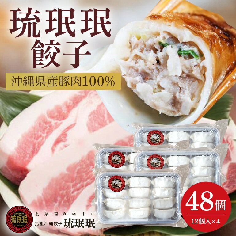 【ふるさと納税】【老舗餃子屋 琉みんみん】沖縄県産豚餃子 4パック 48個入り