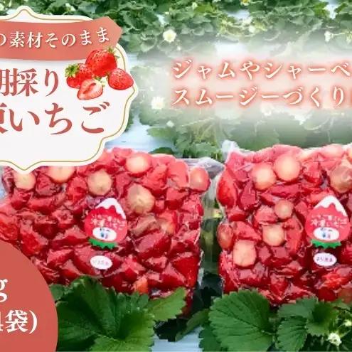 いちご 冷凍 南信州産 1kg 250g×4袋 いちご