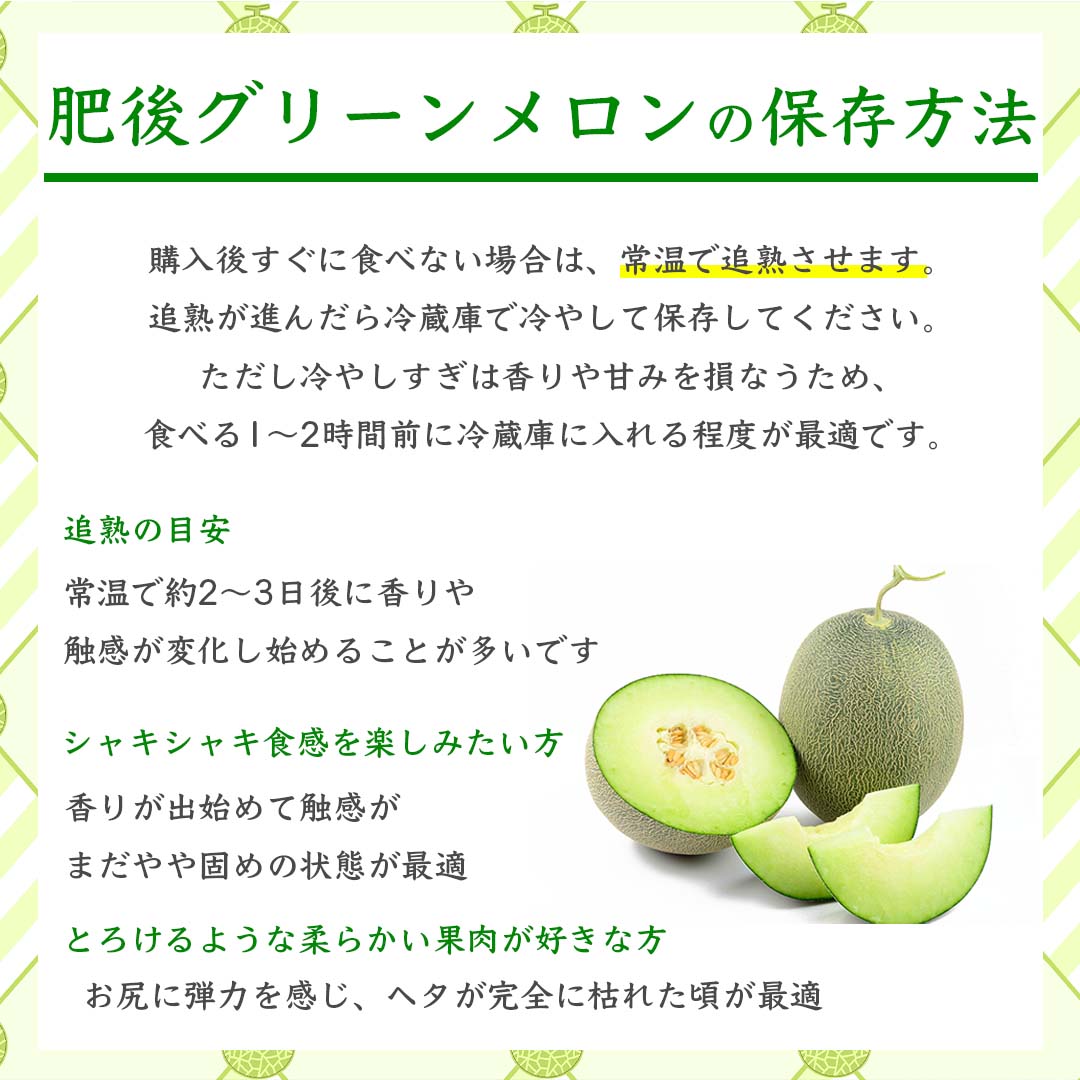 肥後グリーンメロン 約4kg（2玉 4L以上）【2026年5月上旬〜2026年7月下旬配送予定】 果物 フルーツ くだもの メロン めろん 青肉メロン 国産 熊本 熊本県 九州 産地直送 極上 美しい