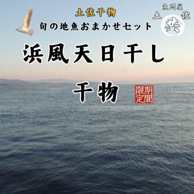 ふるさと納税 東洋町 天日干し 土佐干物 旬の地魚12尾セット 期間限定!