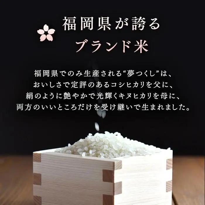 玄米 パックご飯 夢つくし 160g×24食 | パックご飯