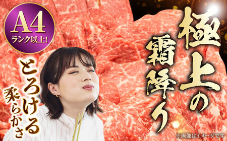 熊本県産 A5等級 黒毛和牛 和王 柔らか赤身焼肉 約300g×3P 計約900g【帝神志方ミート 株式会社】[AYCH094]