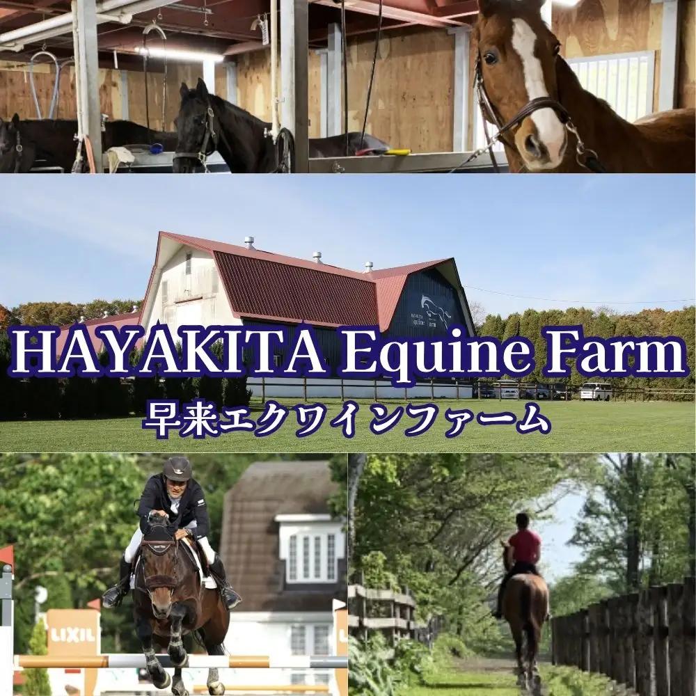 【ふるさと納税】ビジター騎乗 ＜障害あり＞  1回分 北海道安平町〈早来エクワインファーム〉馬 サラブレッド ポニー 競馬 馬術 体験
