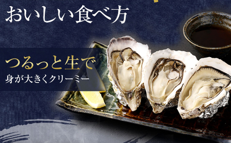 【国産】殻付き牡蠣旅する牡蠣プレミアムオイスター室戸海洋深層水 坂越8～10個入り 牡蠣 牡蠣 牡蠣 深層水付けの牡蠣 ブランド牡蠣 _ak001