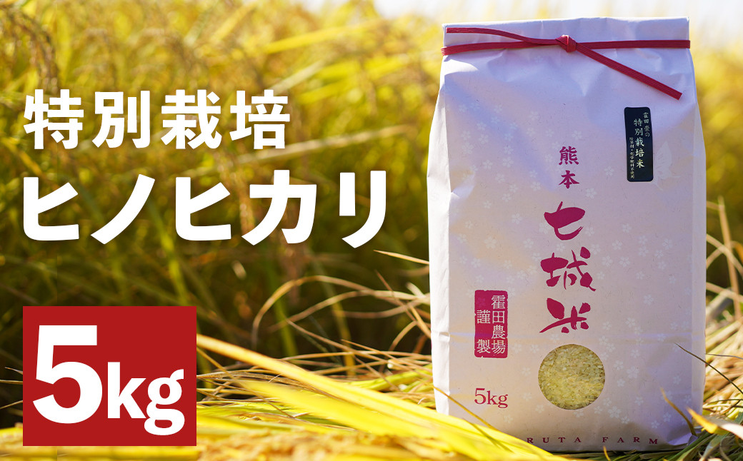 
            つるたファームの極 ヒノヒカリ 5kg お米 ご飯 ごはん 米 白米 精米 こめ コメ 熊本県産 国産
          