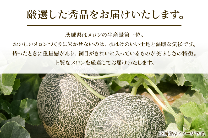 【数量限定・先行予約】おみたまレノンメロン（赤肉）約5kg（4玉～5玉） 秀品  メロン 高級 果物 くだもの フルーツ ギフト 贈り物 贈答用 国産 茨城 小美玉 【7月11日まで受付・6月以降順次