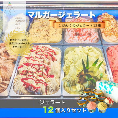 【ふるさと納税】受賞・まるごと能登ジェラート12個_ ジェラート アイス セット スイーツ おやつ マルガジェラート 国産 産地直送 人気 おすすめ 送料無料 贈答 ギフト お取り寄せ 冷凍 ジェラテリア 石川 ソルベ バニラ 【配送不可地域：離島】【1421589】