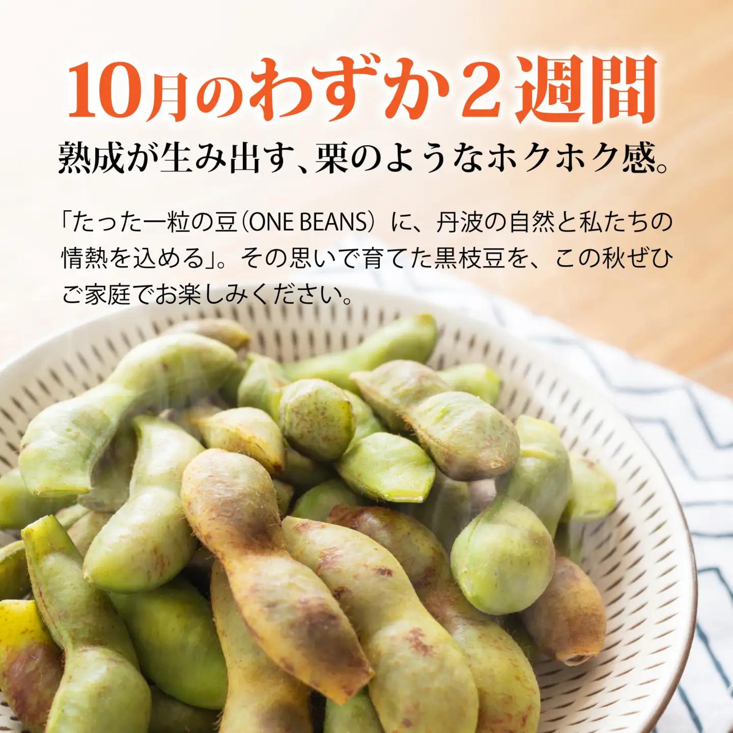 【先行予約】丹波篠山産 丹波黒枝豆 1kg 期間限定 枝豆