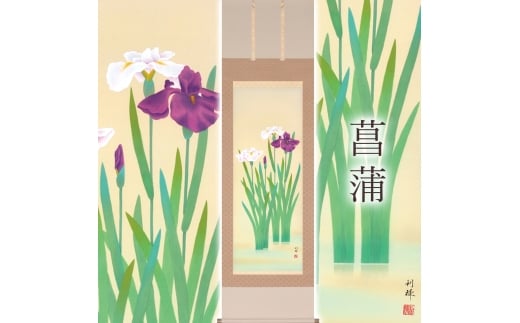 掛け軸「菖蒲」 北沢利輝 尺五立 サイズ：54.5×190cm 桐箱付 掛け軸 表装 床の間