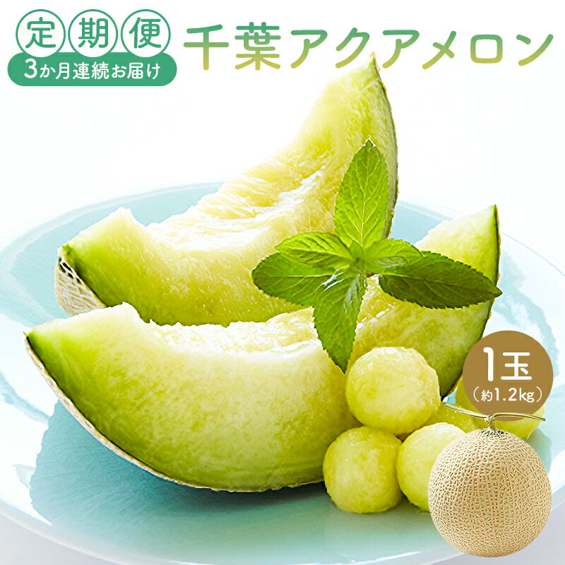 【ふるさと納税】 定期便 千葉アクアメロン1玉（1.2Kg） 3か月連続お届け 高評価レビュー 大人気 最高級品 厳選 メロン 化粧箱入り フルーツ 果物 デザート 農園 千葉県 南房総市 お取り寄せ グルメ 送料無料