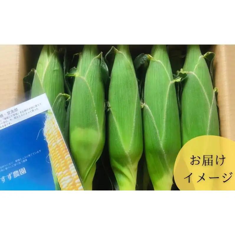 とうもろこし 先行予約 数量限定 甘々娘 コーン とうもろこし