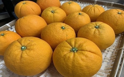 湯の花　みかんメインで贈るフルーツ6回の定期便　【みかん 果物 フルーツ 旬 柑橘 甘い 新鮮 定期便】　<BC-55>