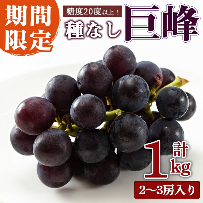 【ふるさと納税】＜先行予約受付中！2026年8月中旬以降順次発送＞ 巨峰1kg［2〜3房入り］ 巨峰 ぶどう ブドウ 葡萄 フルーツ 果物 くだもの デザート 【奥久慈 まほろばの郷 ふれあい農園】【ho1522】
