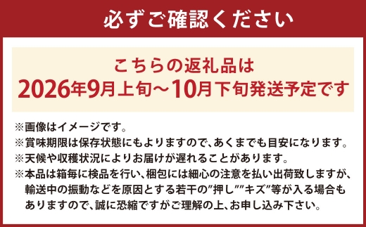 プレミアム シャインマスカット 晴王 1房 約600g【2026年9月上旬-10月下旬 発送予定】 【シャインマスカット マスカット ぶどう 葡萄 岡山県産 種無し 皮ごと食べる みずみずしい 9月～