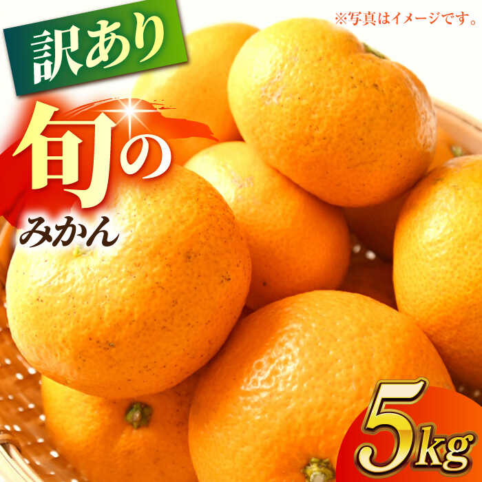 【ふるさと納税】【先行予約】【数量限定】【訳あり】家庭用 みかん 約5kg 詰め合わせ 柑橘【合同会社 社方園】[ZBZ021]