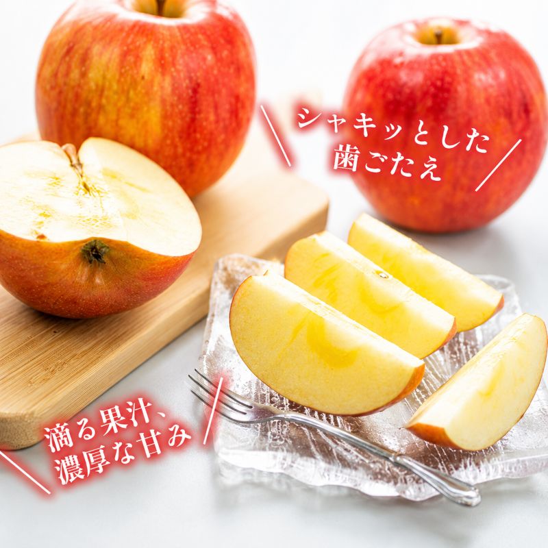 訳あり りんご JA信州うえだ 合戦りんご サンふじ 約10kg リンゴ 林檎 ふじ 果物 くだもの フルーツ 信州 長野 離乳食 訳アリ わけあり 傷